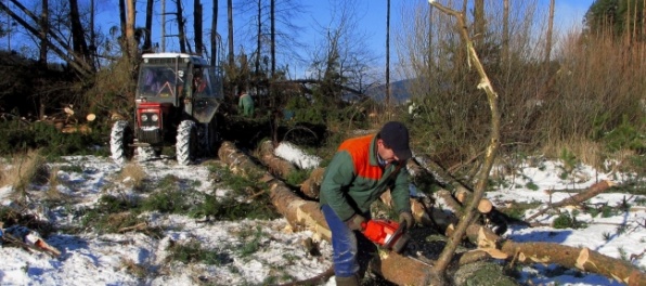 Na Slovensku silno fúka, vietor v Tatrách láme stromy