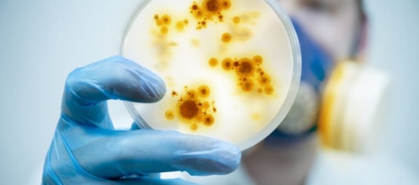 Baktérie rezistentné voči antibiotikám sú už aj tu, objavili ich v Dunaji