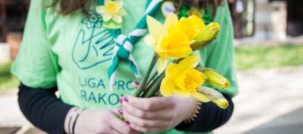 Slovensko opäť zaplavia žlté narcisy, nádej pre onkologických pacientov