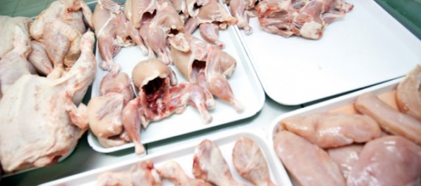 Veterinári našli v Bratislave 21 ton brazílskeho mäsa nakazeného salmonelózou