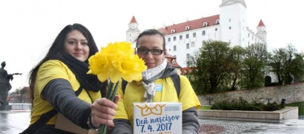 Koľko eur sú Slováci ochotní prispieť na Deň narcisov? Ženy sú o trošku štedrejšie ako muži