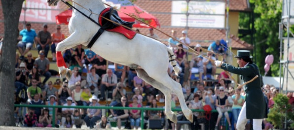 Národný žrebčín Topoľčianky v pondelok otvorí svoje brány pre verejnosť