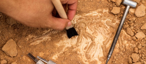 V Bratislave objavili jedno z najrozsiahlejších archeologických nálezísk na Slovensku