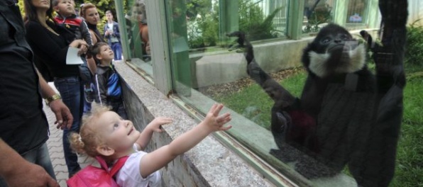 Zoologická záhrada v Bojniciach sa stala národnou inštitúciou