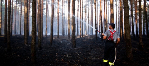Na Záhorí opäť horel lesný porast a suchá tráva, zasahovalo 25 hasičov z okolia