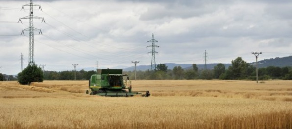 Poľnohospodári na Slovensku začali so žatvou obilia, ľuďom adresovali výzvu