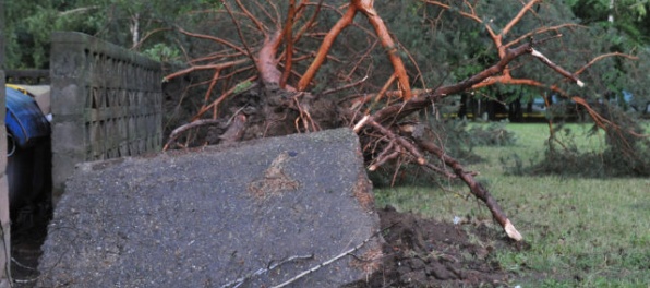 Foto: Prešov pustošila silná búrka, vietor vyvracal stromy a strhával strechy (aktualizované)