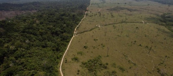 Brazílske ministerstvo chce zmenšiť chránený Amazonský prales, územie sa má využívať na ťažbu