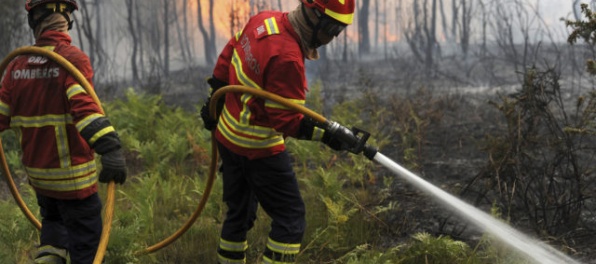 Hasiči varujú pred lesnými požiarmi, vydali výstrahu pre vybrané oblasti