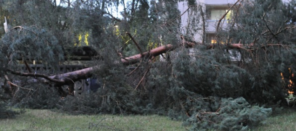 Búrka na východe Slovenska vyvracala stromy a strhávala strechy