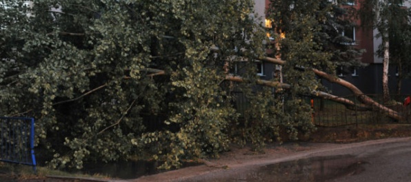 Aktualizované: Prešov ráta škody po veternej smršti, v meste zrušili mimoriadnu situáciu