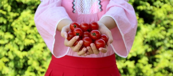 PARADAJKOVÝ BEDEKER – 5 vecí o paradajkách, ktoré vám potravinový reťazec nepovie