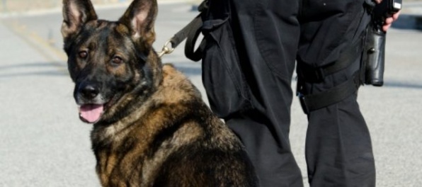 Desaťročný chlapec sa nevrátil domov, vypátral ho policajný pes