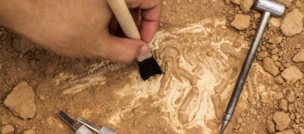 Muž v Ohiu našiel ostatky človeka staré približne 900 rokov