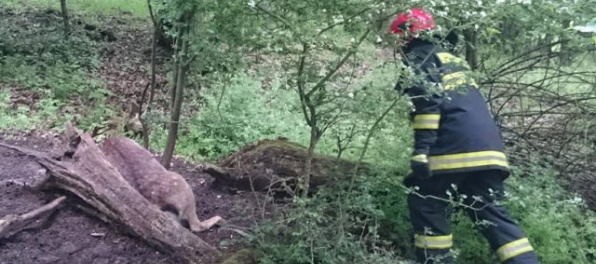 Obyvatelia Popradu pozor, platí zvýšené nebezpečenstvo požiarov