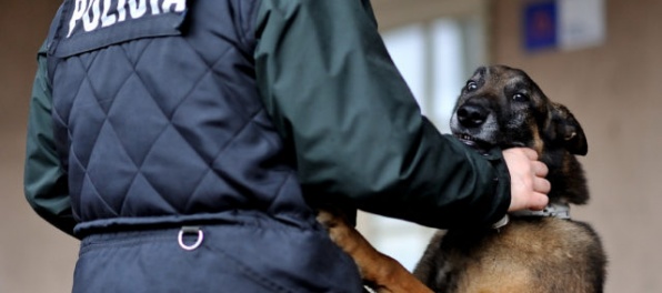 Kontrolná otázka policajtov zlodeja zaskočila, na mieste sa priznal