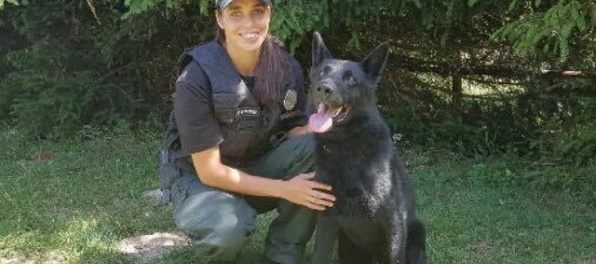 Útočník bodol nožom 61-ročného muža, delikventa dolapil policajný pes Volf