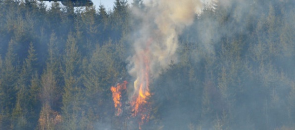 Rožňavskí hasiči bojujú s lesným požiarom, pri likvidácii pomáha aj vrtuľník