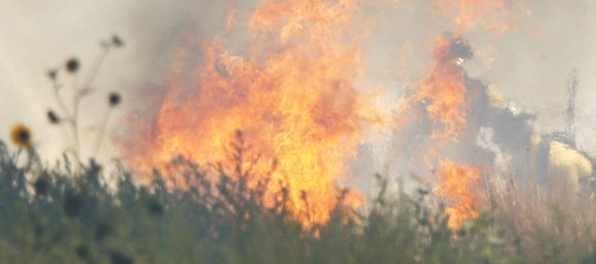 Požiare zachvátili arktický ostrov Grónsko, horia trávnaté porasty