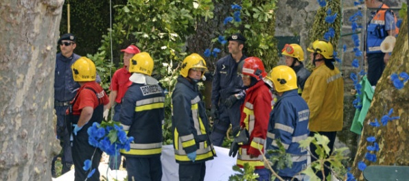 V Portugalsku spadol strom, zabil dvanásť ľudí