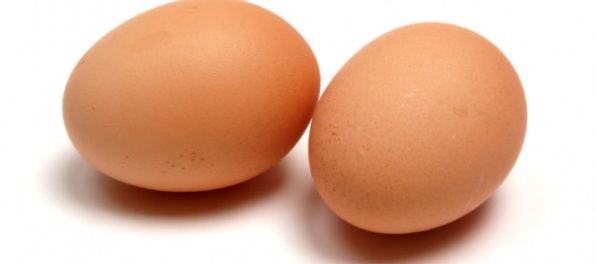 Bratislavské hotely dostali vaječnú zmes s nebezpečným fipronilom