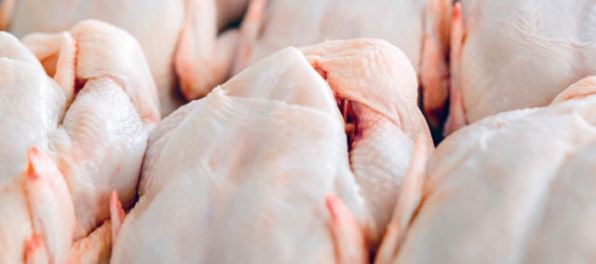 Slovenské hydinové farmy nepoužívajú pesticíd fipronil, potraviny sú čerstvé a bezpečné