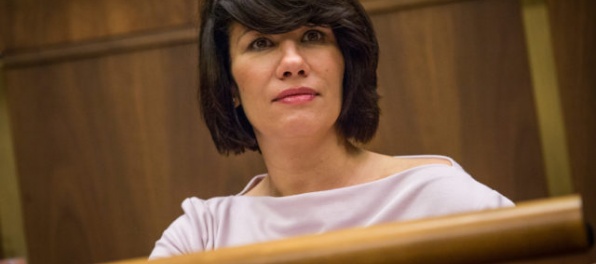 Nicholsonová tvorí tím pre rodinnú politiku s nezaradenými poslancami Petrík a Mihálom