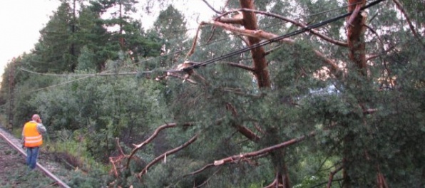 Dážď, búrky a silný vietor obmedzili železničnú dopravu na juhozápade Slovenska