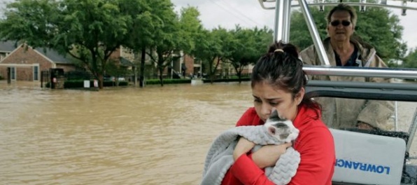 Foto: Harvey po sebe zanechal spúšť, o domov pripravil tisícky ľudí