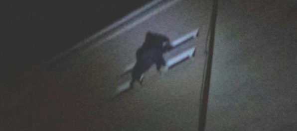 Košickí policajti zachránili ženu, ktorá ušla pred bitkou a zostala visieť na parapetnej doske