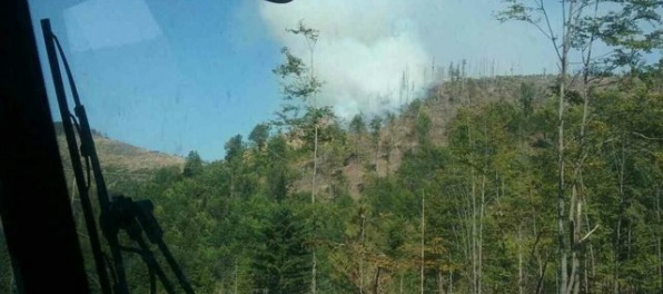 Požiar na rúbanisku v Gemerskej Polome lokalizovali, na mieste stále zasahujú desiatky hasičov