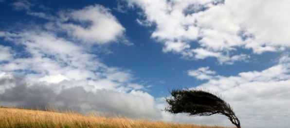 Západné Slovensko zasiahne silný vietor, je vydaná výstraha 2. stupňa
