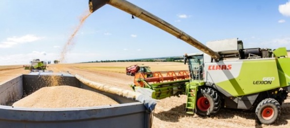 Žatva sa na Slovensku skončila, na zníženú úrodu vplývalo počasi i premnožená zver