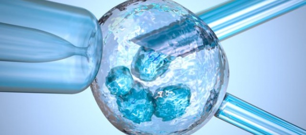 Vedcom sa podarilo vykonať prvú chemickú operáciu na ľudských embryách