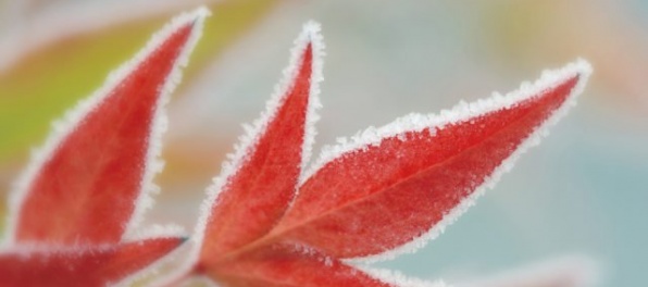Najbližšie dve noci hrozia na celom Slovensku prízemné mrazy, v Tatrách pozor na šmykľavé chodníky