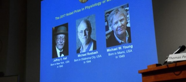 Aktualizované: Nobelovu cenu za fyziológiu alebo medicínu získali Američania