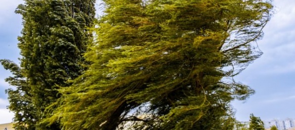 Na horách bude víchrica, sú vydané výstrahy prvého a druhého stupňa