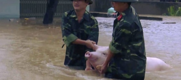 Povodne vo Vietname zničili tisícky domov, záchranári pátrajú po nezvestných