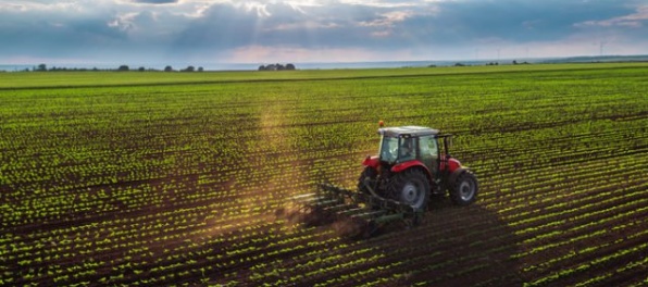 Štát klepol po prstoch špekulantom, zmenil sa zákon o nájme poľnohospodárskych pozemkov