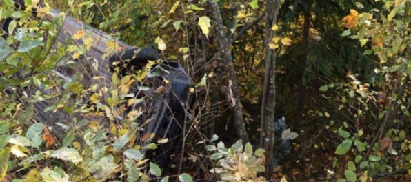 Foto: Vodička Renaultu zomrela po zrážke s BMW, 85-ročný muž zišiel z cesty a narazil do pňa