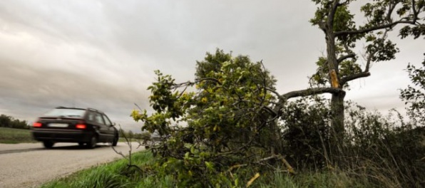 Aktualizované: Silný vietor spôsobuje na Slovensku výpadky elektrickej energie, hasiči odstraňujú spadnuté stromy