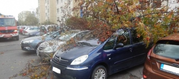 Foto: Silný vietor na Slovensku lámal stromy, komplikoval dopravu a spôsobil výpadky elektriny (aktualizované)