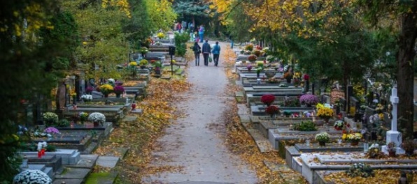 Na cintorínoch v Bratislave odstraňujú následky veternej smršte, ale už sú opäť otvorené