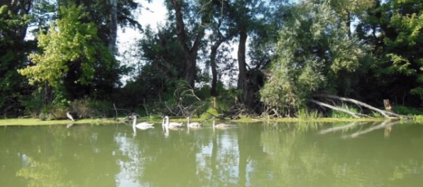 BSK: Ekocentrá súčasťou koncepcie envirovzdelávania