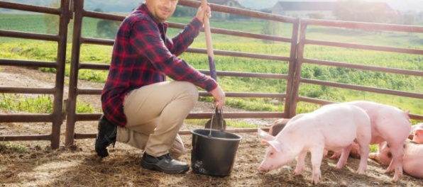 Pri kvalitnom mäse viete presne, odkiaľ pochádza, radí BILLA