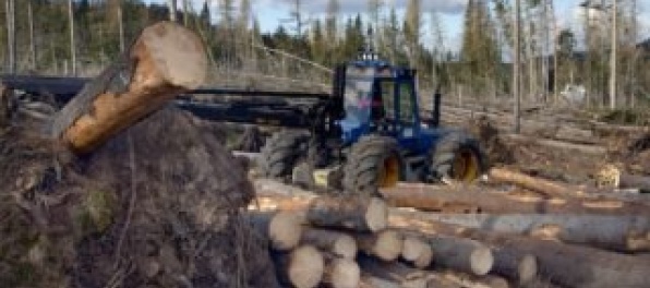 Aktualizované: Zoskupenie VLK zablokovalo ťažbu dreva na Čergove, padli aj trestné oznámenia