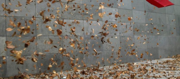 Niektoré okresy na Slovensku potrápi silný vietor, vydali výstrahu prvého stupňa