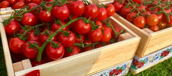 V paradajkách OVOZELA okúsite skutočnú chuť Slovenska