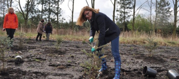 Lesníci opäť rozdajú vianočné stromčeky detským domovom i nemocniciam
