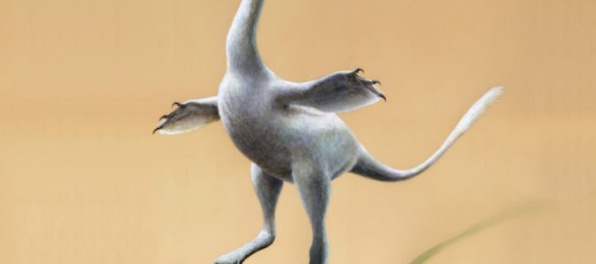 Vedci objavili pozostatky nového dinosaura, vyzerá ako kačica